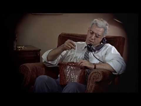 Das Fenster zum Hof - Frau Thorwalds Tasche