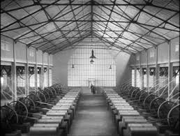 Der Geheimagent- Schokoladenfabrik