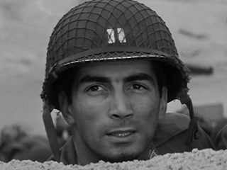 Ray Danton (D-Day)
